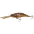 Muddy Prawn