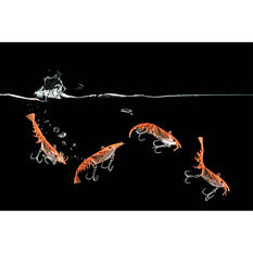 Berkley Shimma Shrimp Soft Vibe Lure 100mm Fire Tiger Shrimp, Fire Tiger Shrimp, bcf_hi-res