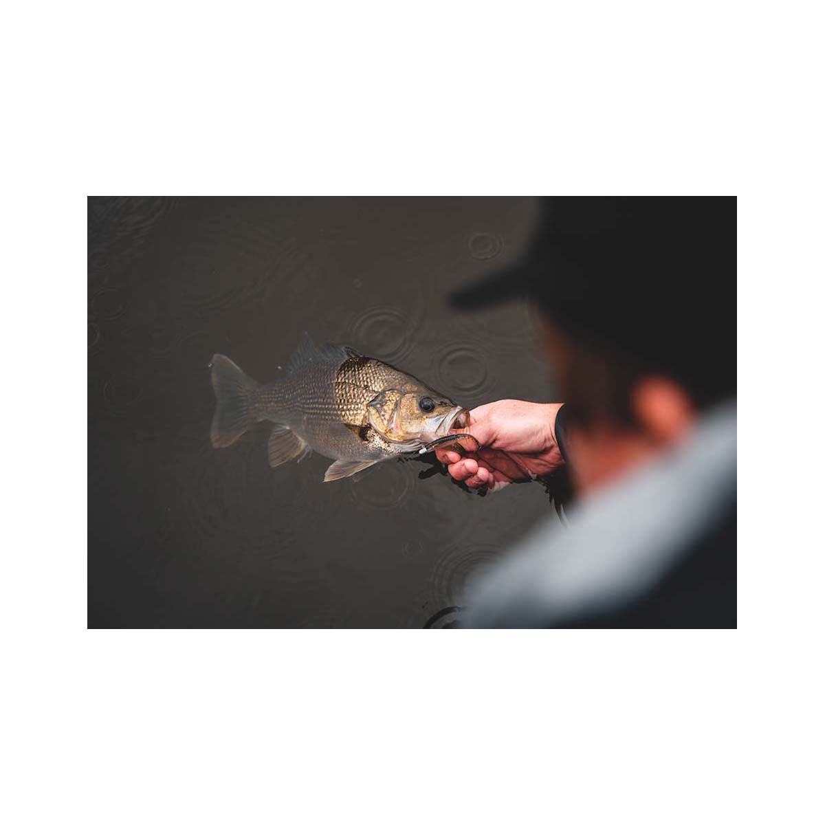 Daiwa Bait Junkie Finesse 0X Jig Heads, , bcf_hi-res