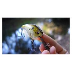 13 Fishing Jabber Jaw Deep Crankbait Lure 2.3in Citrus Shad, Citrus Shad, bcf_hi-res