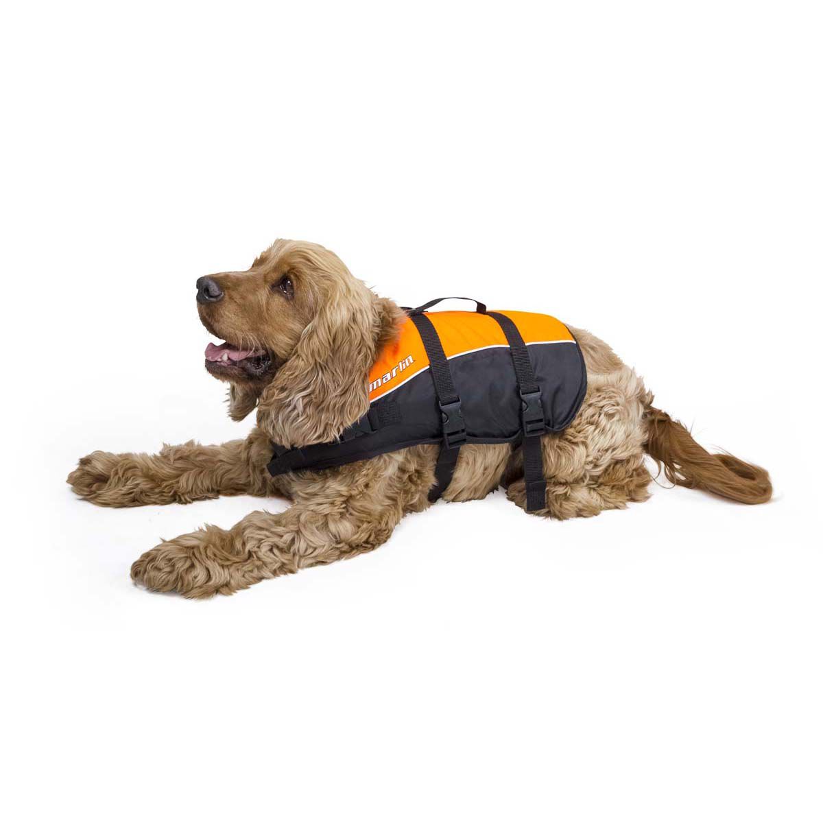 Dog Life Jacket Bcf Big Sale Off 68 Dog Life Jacket Bcf Big Sale Off 68