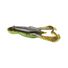 Green Pumpkin Chartreuse