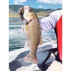 13 Fishing Jabber Jaw Deep Crankbait Lure 2.3in Citrus Shad, Citrus Shad, bcf_hi-res