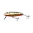 Bobby Dazzler Gold Stripe