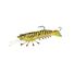 Tiger Prawn