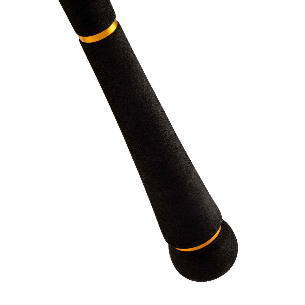 Daiwa Seabass Surf Rod, , bcf_hi-res