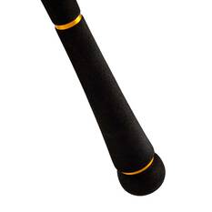 Daiwa Seabass Surf Rod, , bcf_hi-res