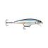 Anchovy
