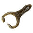 Mud Minnow