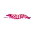 Hyper Pink