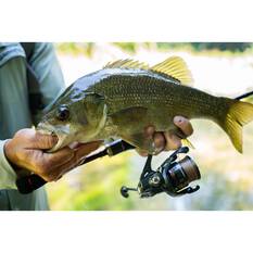 Shimano Vanford FA 24 Spinning Reel 2500 HG, , bcf_hi-res