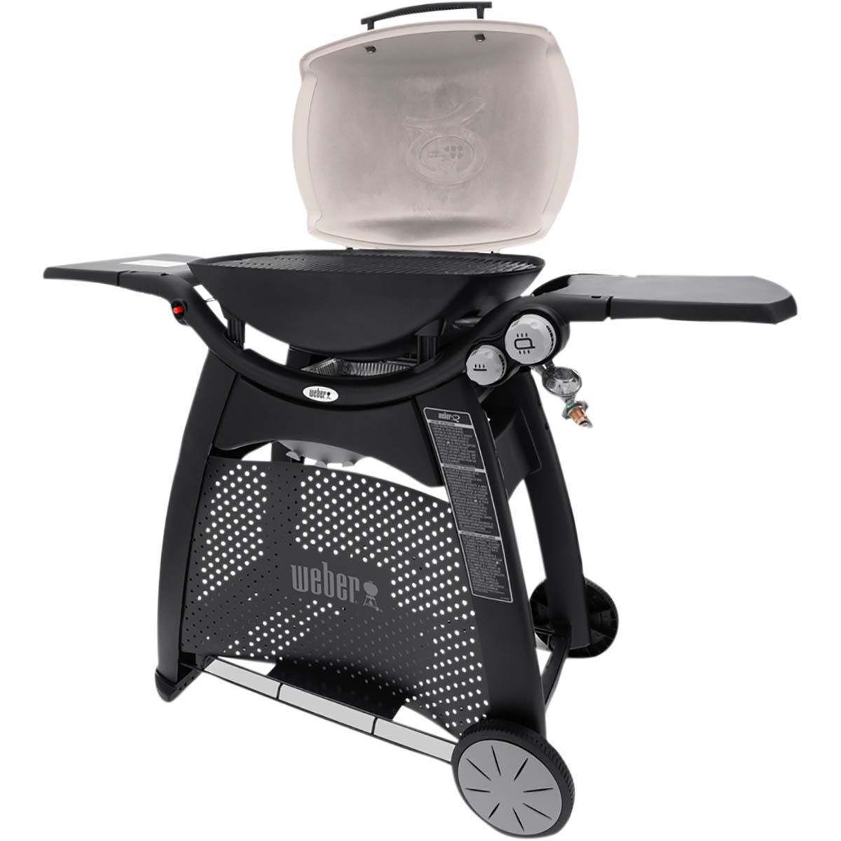 er Family Q (Q3100) LP BBQ BCF