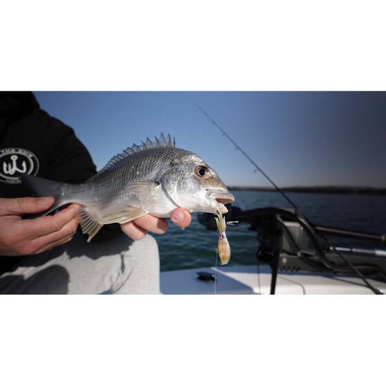 Nomad Squidtrex Vibe Lure 75mm Tiger, Tiger, bcf_hi-res