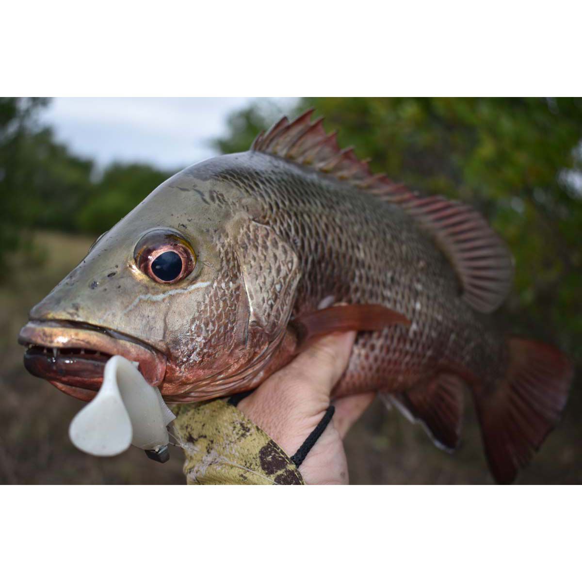 Berkley PowerBait Nemesis Paddle Tail Soft Plastic Lure 3in Brown Gold, Brown Gold, bcf_hi-res