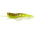 Oily Prawn