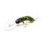 Green Frog