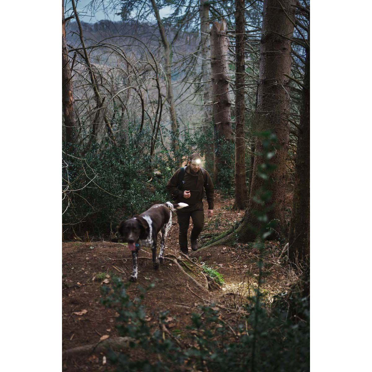 Ledlenser HF6R Signature Headlamp Black, Black, bcf_hi-res