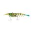 Blue Tail Shrimp