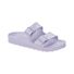 Purple Fog