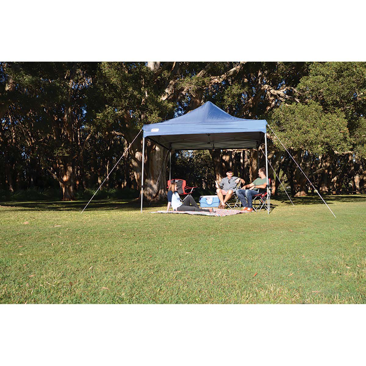 Coleman gazebo hotsell