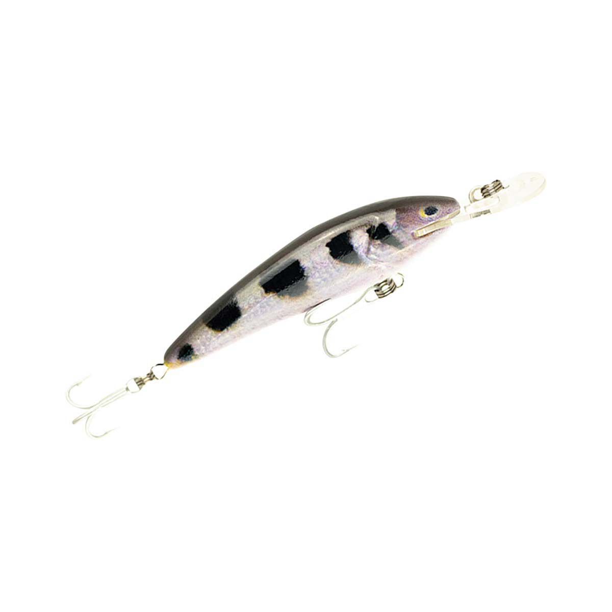 Raptor Live Jack Snax Hard Body Lure 4in Archer Fish, Archer Fish, bcf_hi-res