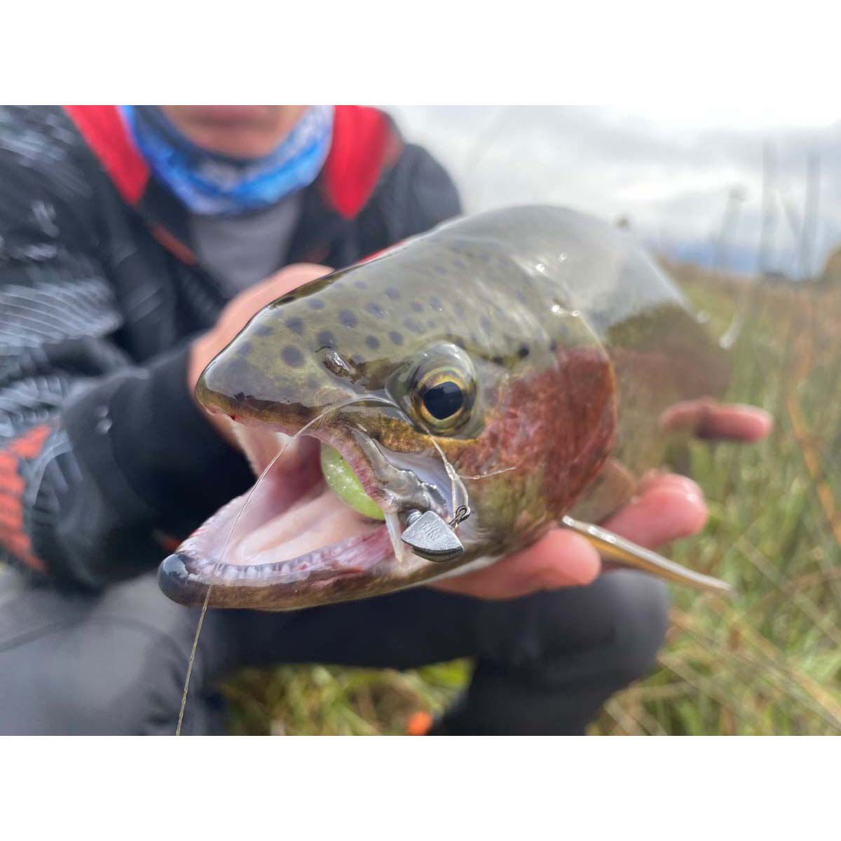 Rapala CrushCity Suspect Soft Plastic Lure 2.75in Pearl Watermelon, Pearl Watermelon, bcf_hi-res