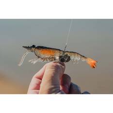 Nomad Live Ops Switcher Shrimp Soft Plastic Lure 5in Black and Gold, Black and Gold, bcf_hi-res