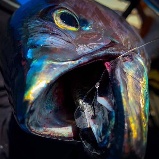 Berkley Gulp! Jerk Shad Soft Plastic Lure 7in Firetiger, Firetiger, bcf_hi-res