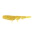 Bloodworm