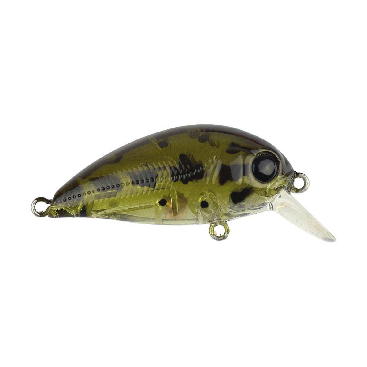 Atomic Hardz Crank Mid Hard Body Lure 38mm Ghost Green Shad, Ghost Green Shad, bcf_hi-res