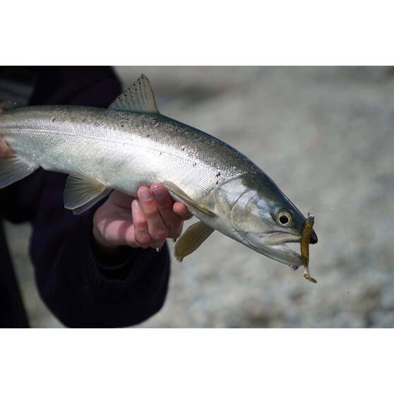 Berkley PowerBait T-Tail Minnow Soft Plastic Lure 2.6in Jalapeno Green / Pumpkin, Jalapeno Green / Pumpkin, bcf_hi-res