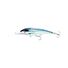 Spanish Mackerel