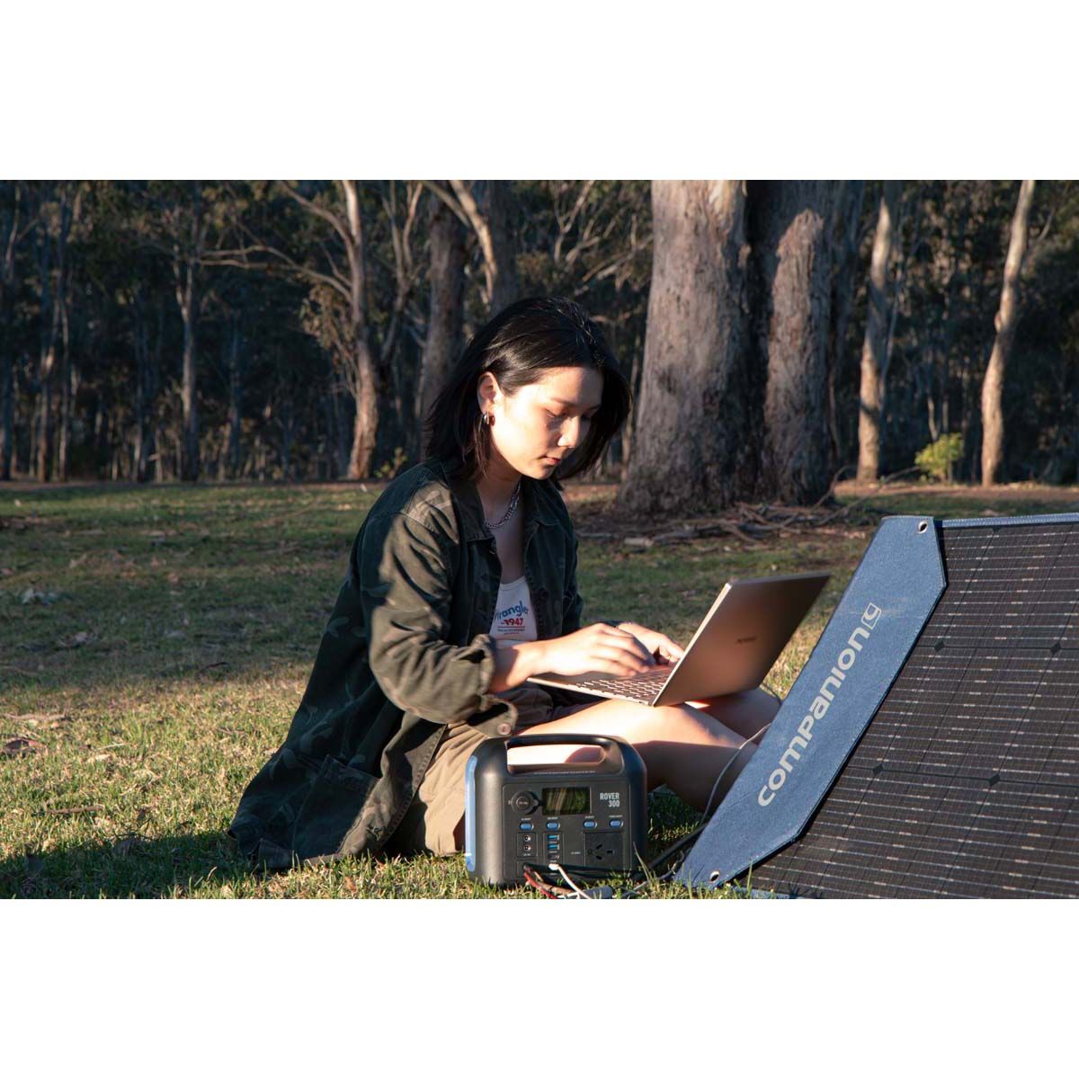 Companion Rover 300 Portable Power Station, , bcf_hi-res