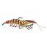 Tiger Prawn