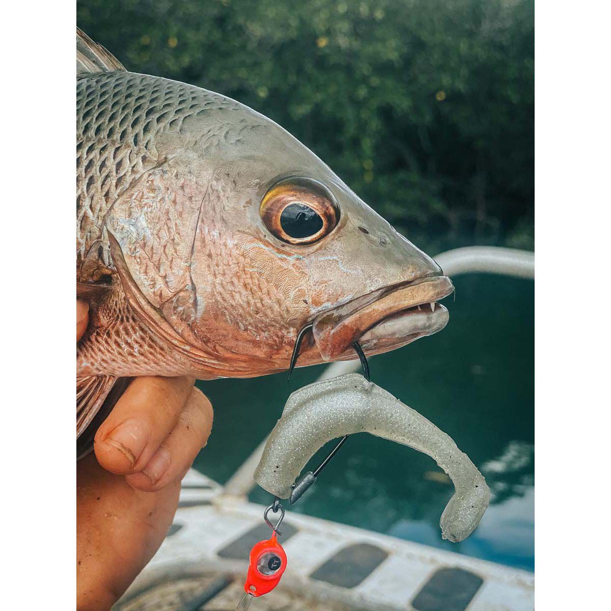 TT Fishing Snake EyeZ Jigheads Pink, , bcf_hi-res