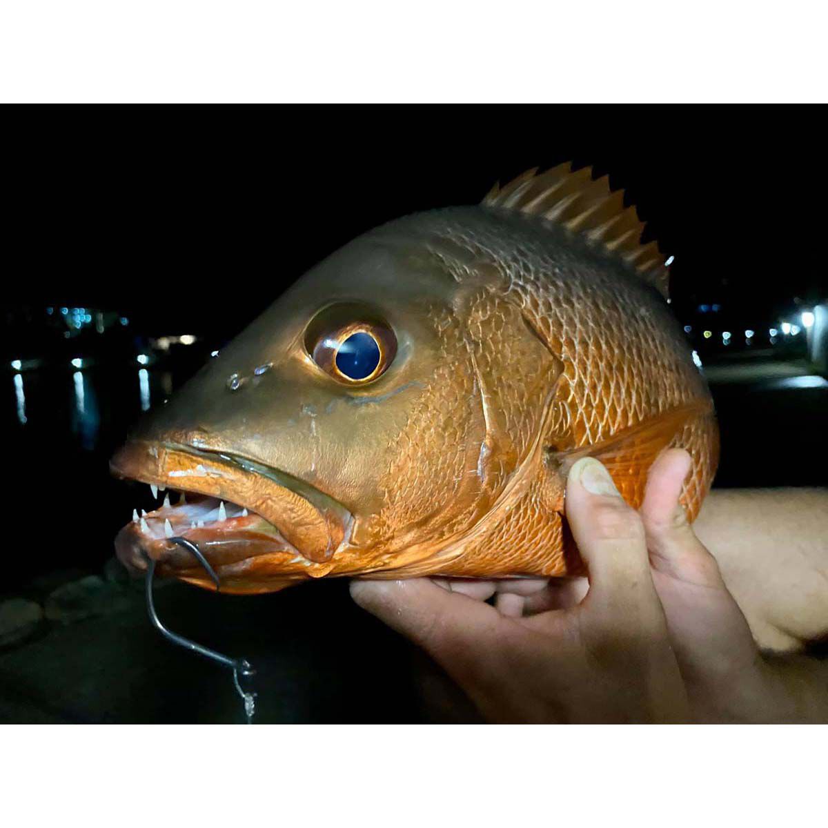 BKK Mutsu Circle Light Hook, , bcf_hi-res