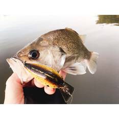 13 Fishing Jabber Jaw Deep Crankbait Lure 2.3in Citrus Shad, Citrus Shad, bcf_hi-res