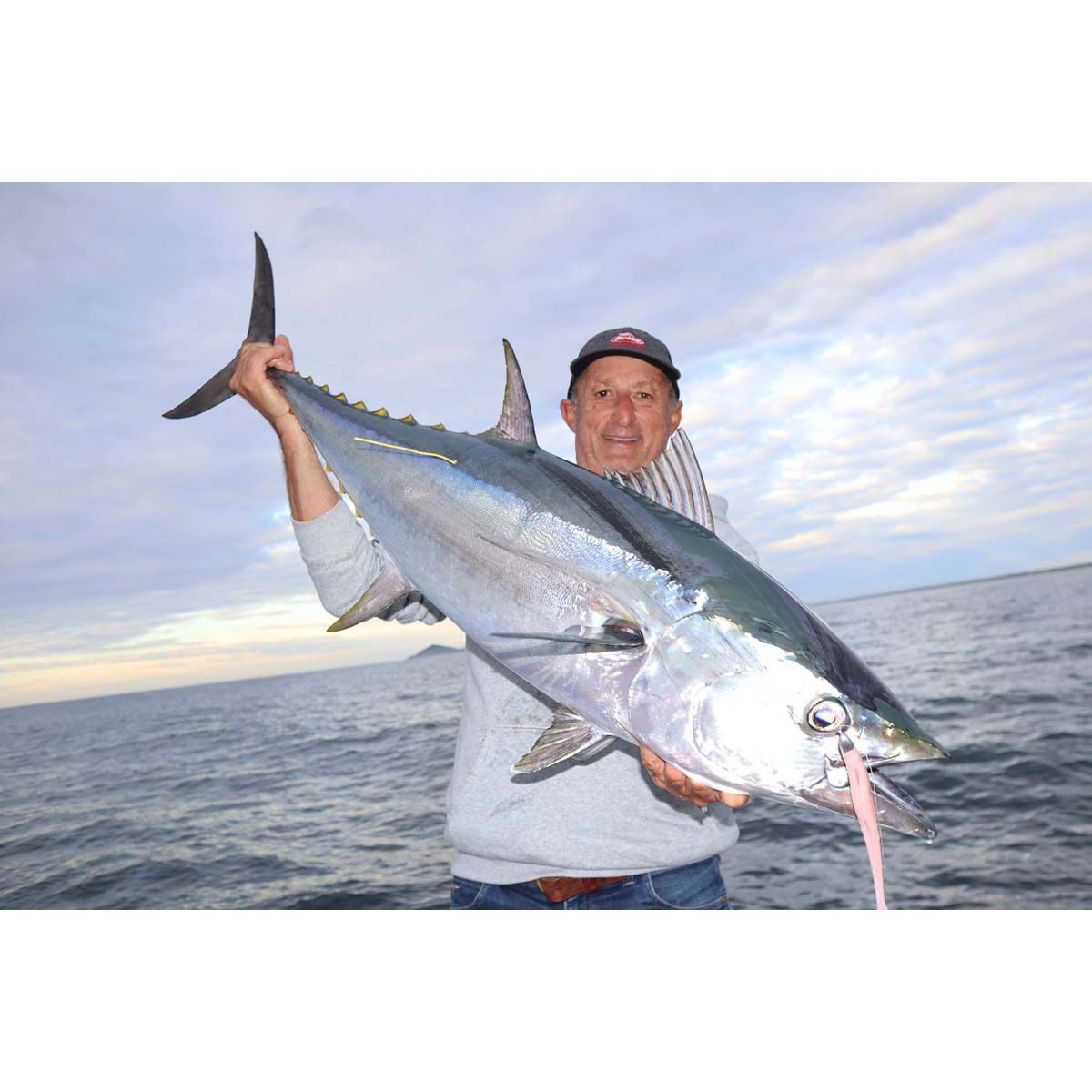 Berkley Gulp! Jerk Shad Soft Plastic Lure 5in Pink Shine, Pink Shine, bcf_hi-res