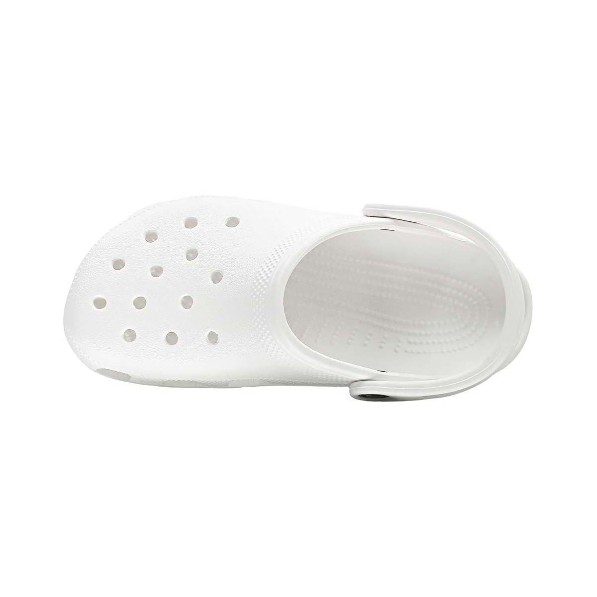 bcf crocs