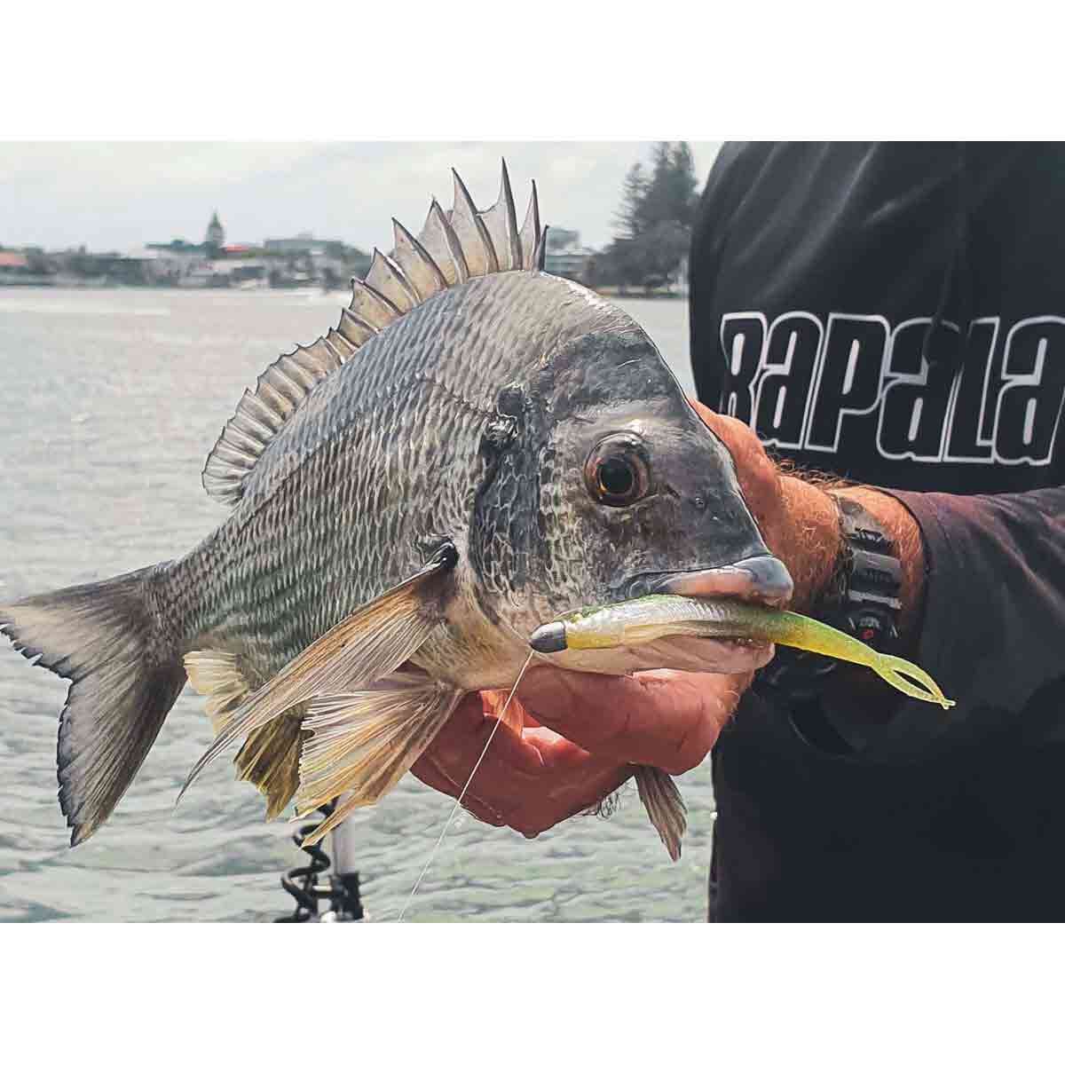 Rapala CrushCity Jerk Soft Plastic Lure 3.75in White Bait, White Bait, bcf_hi-res