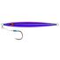 Purple Fusilier