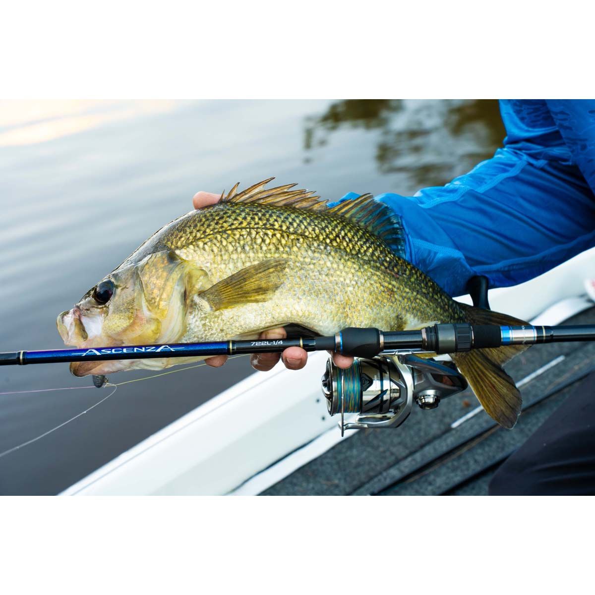 Shimano Ascenza Spinning Rod, , bcf_hi-res