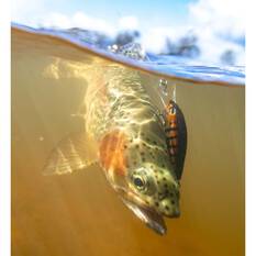 Halco TB55 Hard Body Lure 55mm Brown Trout, Brown Trout, bcf_hi-res