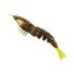 Rootbeer Chartreuse Tail