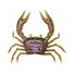 Ghost Crab