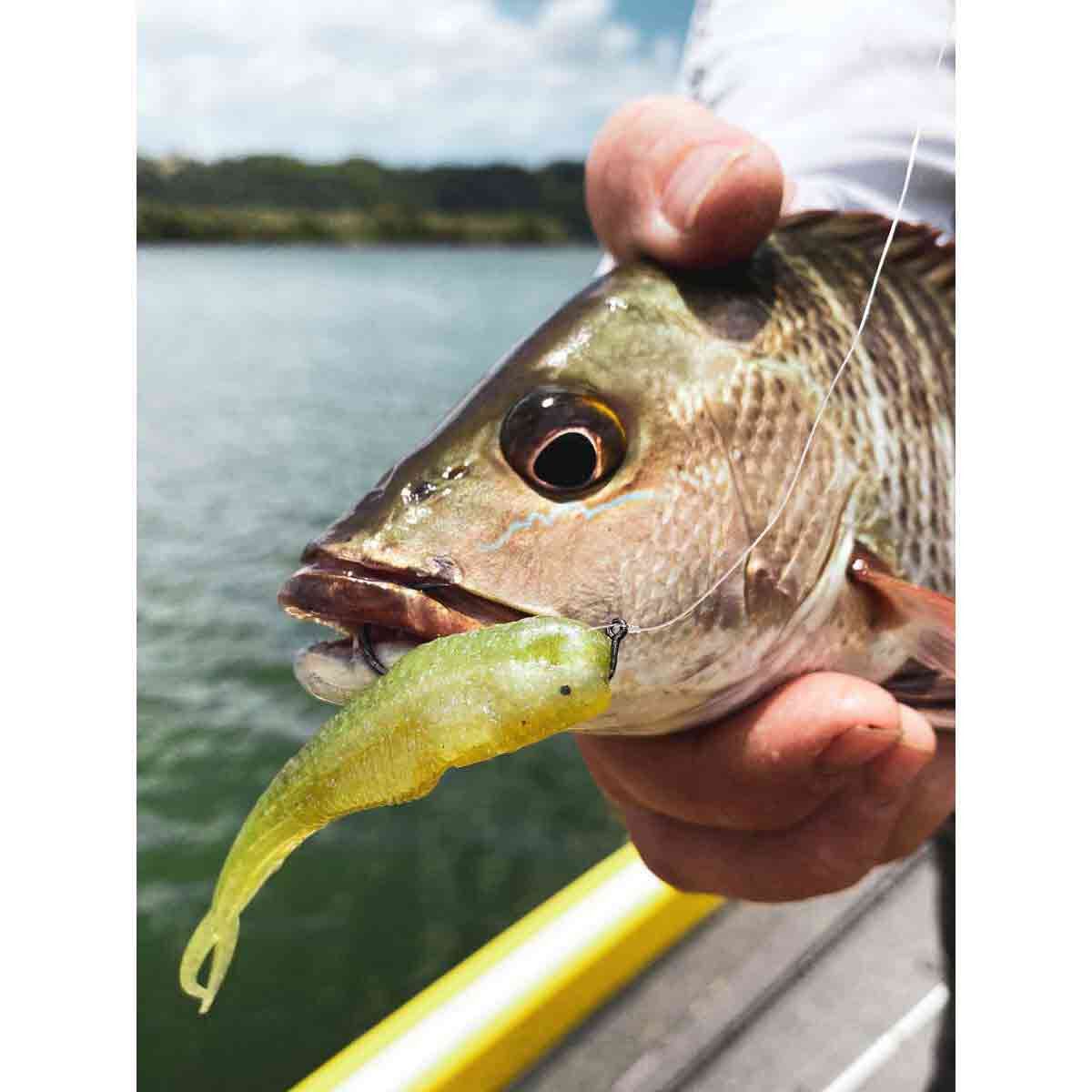 Rapala CrushCity Jerk Soft Plastic Lure 3.75in Budgie, Budgie, bcf_hi-res