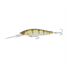 Grunter