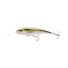 Olive Back Shad