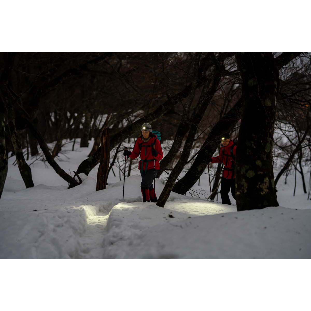 Ledlenser HF6R Core Headlamp, , bcf_hi-res