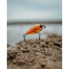 Pro Lure Crank XS Hardbody Lure 36mm Ayu, Ayu, bcf_hi-res